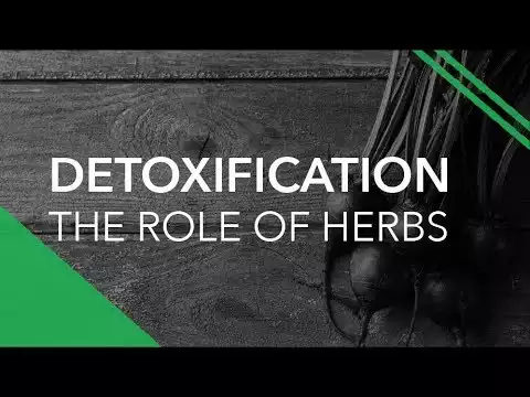 The Process of Detoxification 1