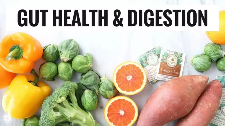 Gut-Health-Trans-EBook