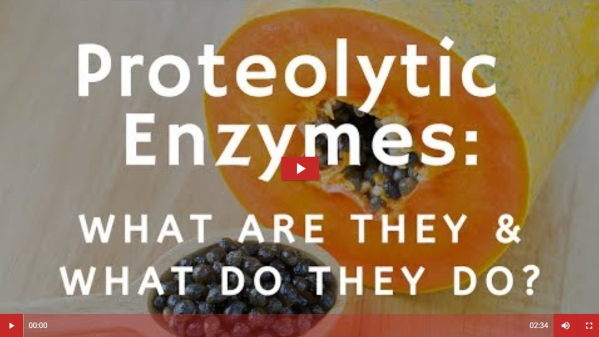 Proteolytic Enzymes